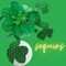 Little Top Hat St. Patrick's Sequin Headband, Green Hair Accessory With Clovers and Tulle for Holidays and Themed Parties, One Size Fits Most (Top Hat with Clovers and Tulle)